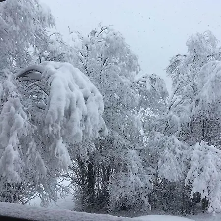 Lerchweid By Interhome شقة *