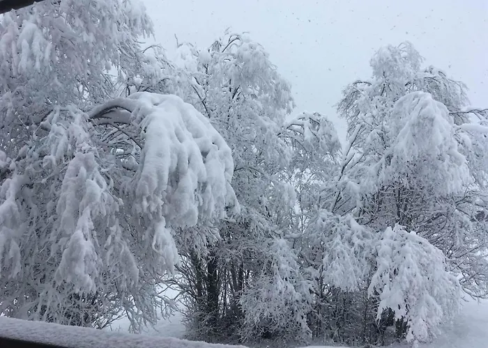 Lerchweid By Interhome Lejlighed *